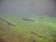 Thumbs/tn_Clear Lake 003.jpg